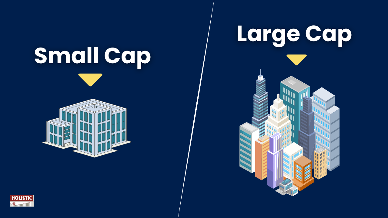 small cap vs. large cap